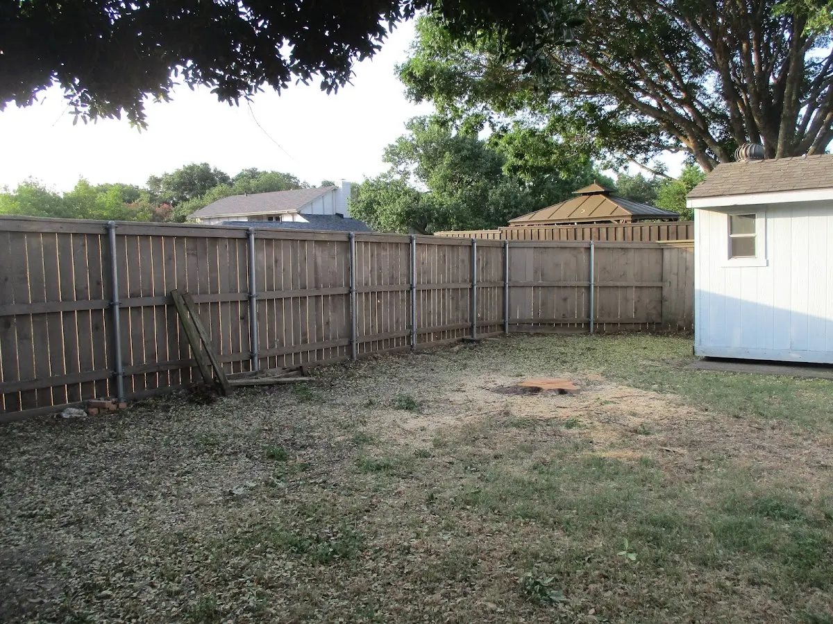 Cleared yard after professional tree removal in Chapel Hill
