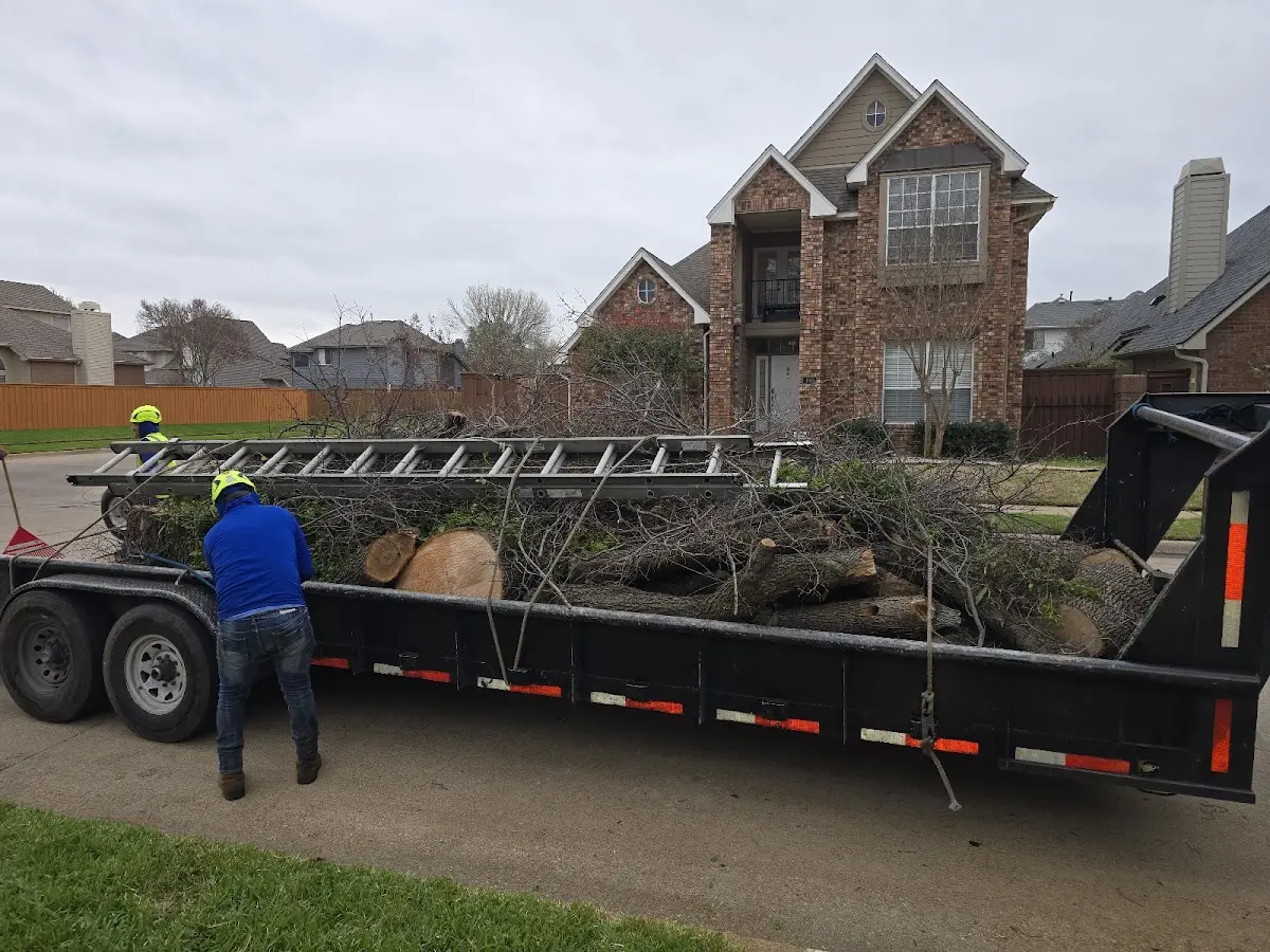 Expert Tree Removal with proper safety equipment in Chapel Hill